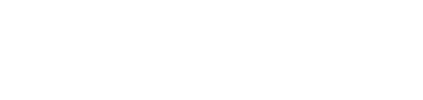 Logo: SPD Mittelsachsen