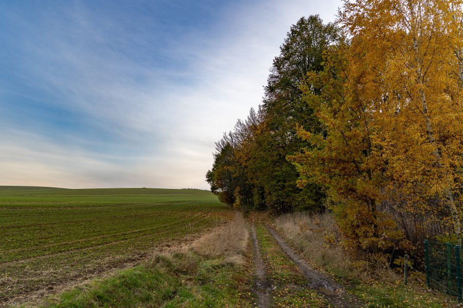 Herbst in Mittelsachsen Feldrand mit Waldweg und Mischwald, bunte Blätter. grüne Fichten